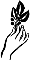 Hand with olive branch